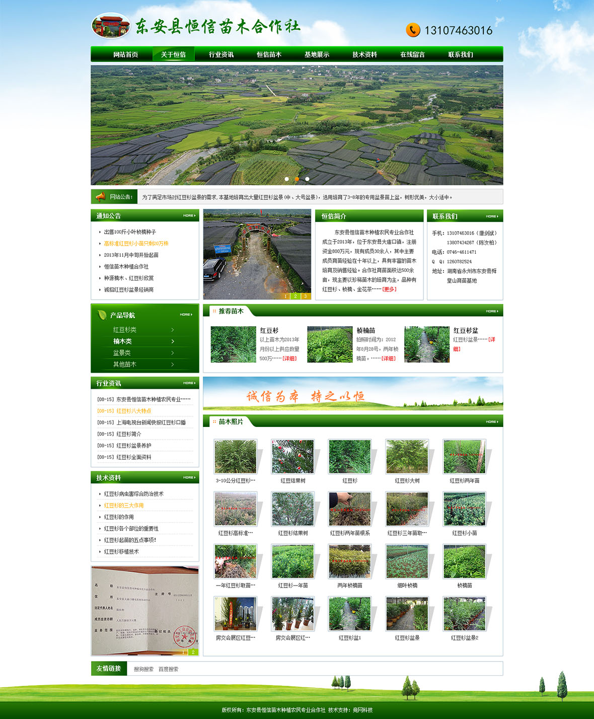 東安縣恒信苗木種植農(nóng)民專業(yè)合作社