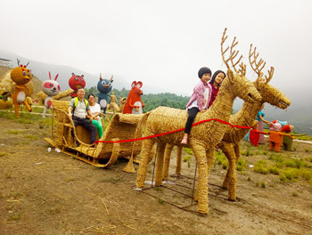 卓琳稻草 — 依托網絡營銷，稻草變“黃金”