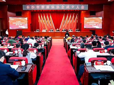 長沙市新媒體協會正式成立，陳花當選協會秘書長