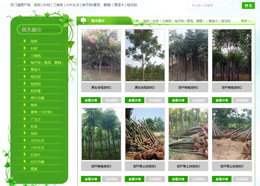 營(yíng)銷(xiāo)型網(wǎng)站成功案例——桃源縣綠洲園林苗圃