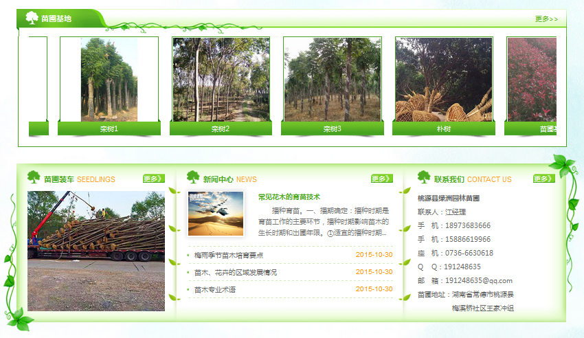 營(yíng)銷(xiāo)型網(wǎng)站成功案例——桃源縣綠洲園林苗圃