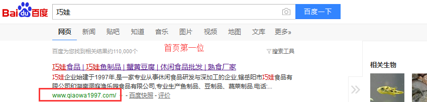 營銷型網站成功案例：巧娃食品官網