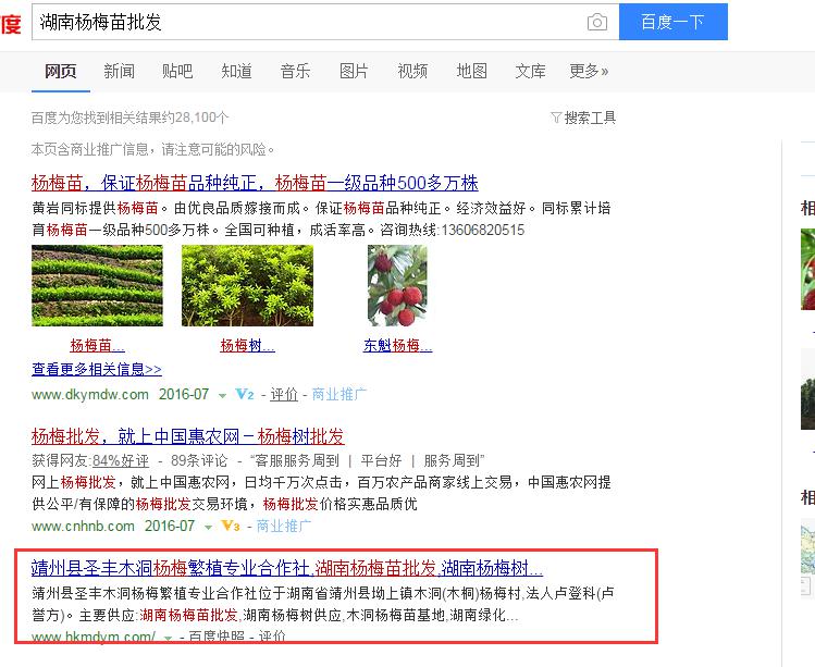 這樣做seo,靖州楊梅網(wǎng)站排名有盼頭 這樣做seo,靖州楊梅網(wǎng)站排名有盼頭