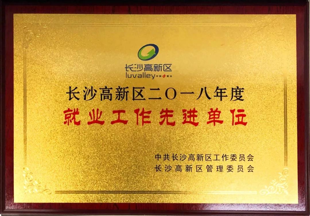 競網獲長沙高新區2018年度“就業工作先進單位”稱號！
